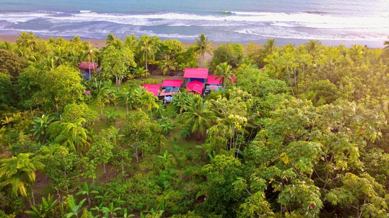 Tortuga Bay Eco Hotel El Valle  외부 사진