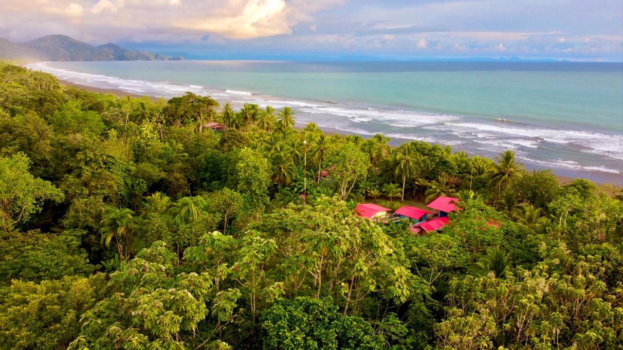 Tortuga Bay Eco Hotel El Valle  외부 사진