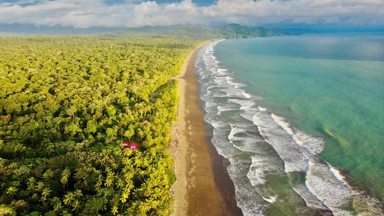 Tortuga Bay Eco Hotel El Valle  외부 사진