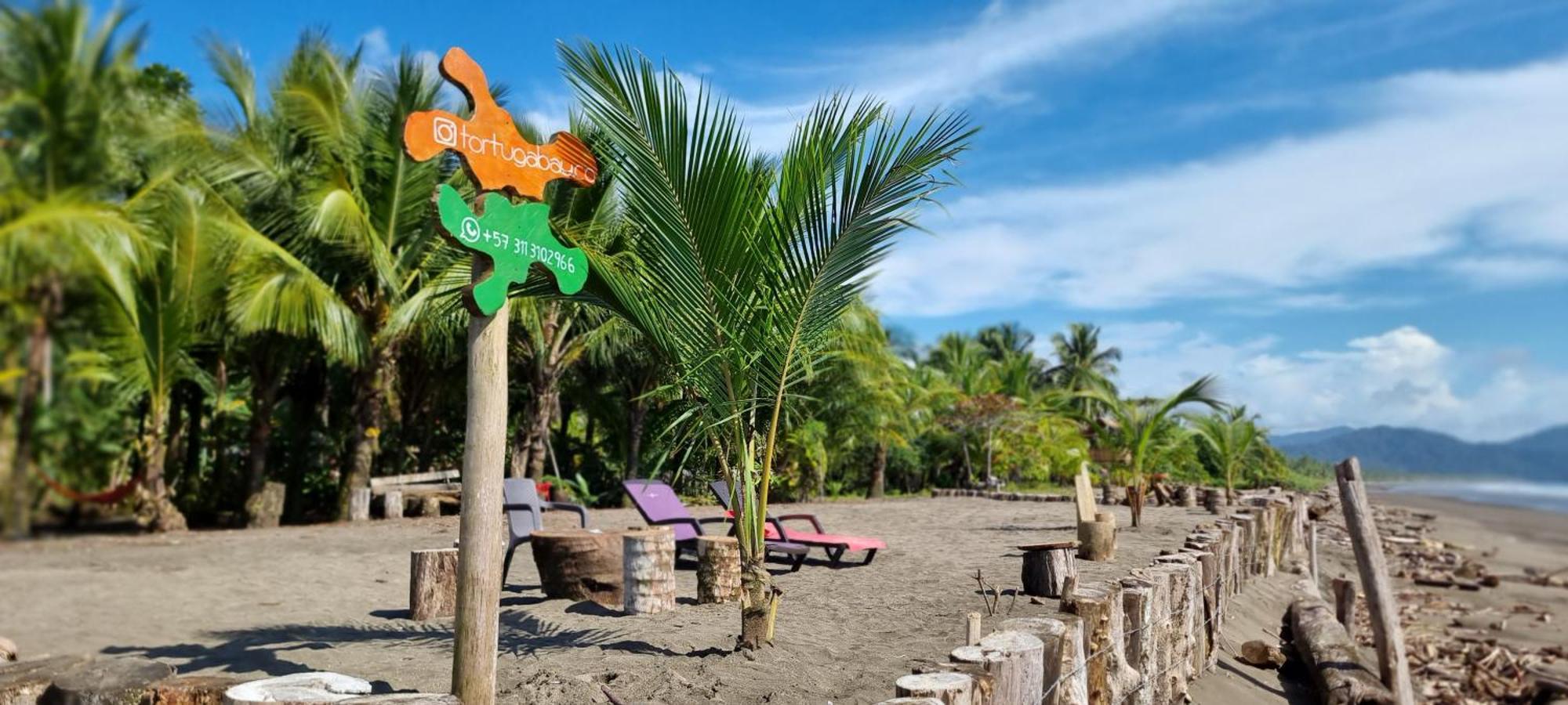 Tortuga Bay Eco Hotel El Valle  외부 사진