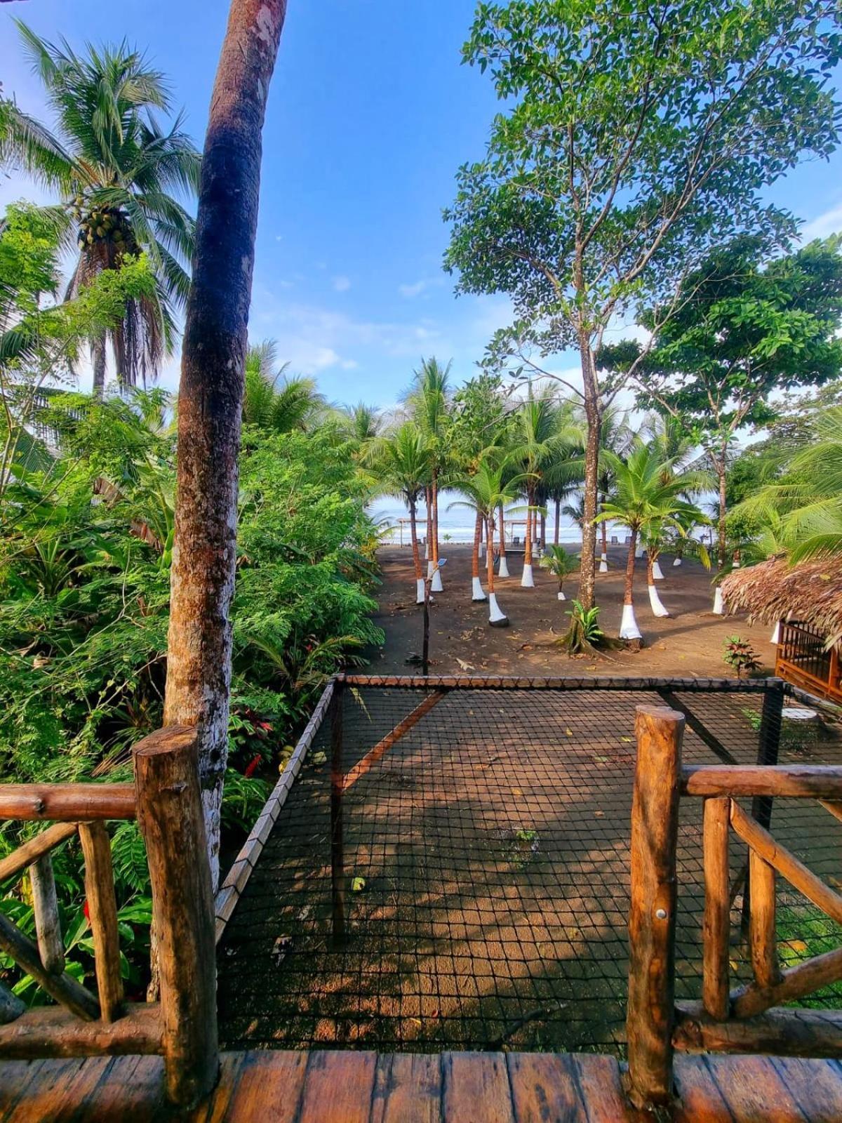 Tortuga Bay Eco Hotel El Valle  객실 사진