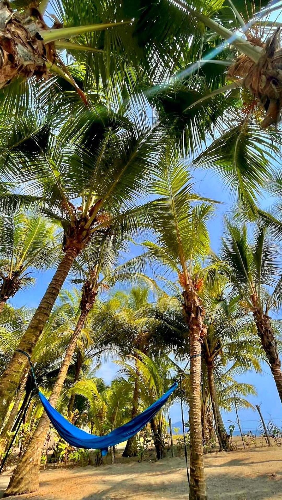 Tortuga Bay Eco Hotel El Valle  외부 사진