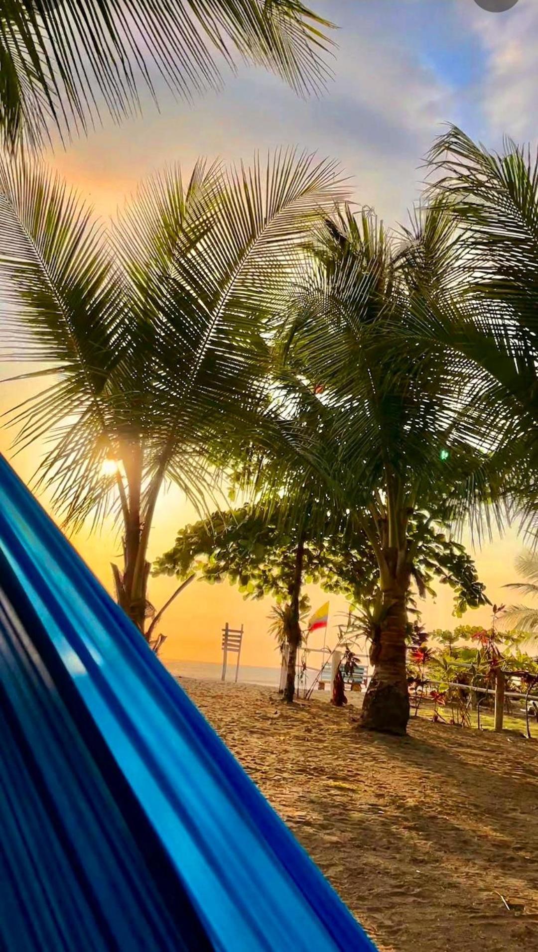 Tortuga Bay Eco Hotel El Valle  외부 사진