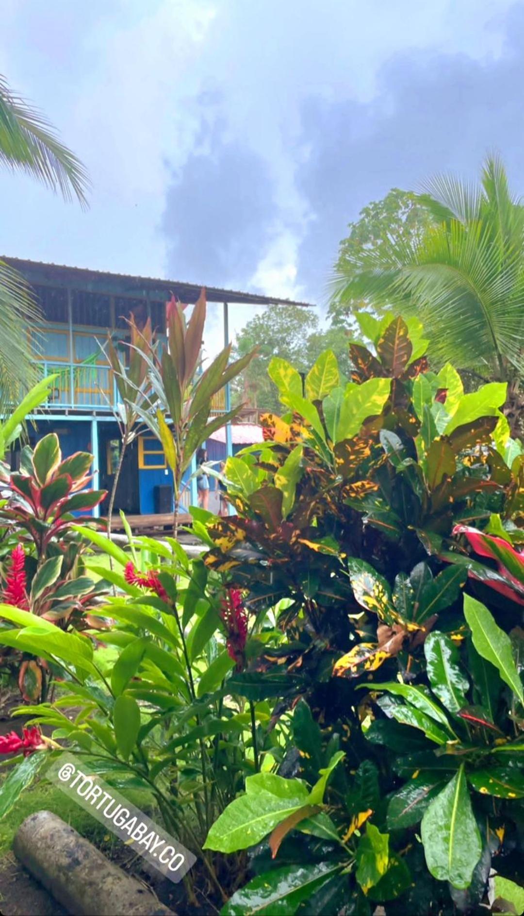 Tortuga Bay Eco Hotel El Valle  외부 사진