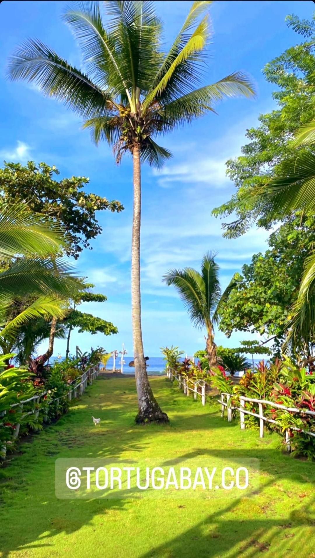 Tortuga Bay Eco Hotel El Valle  외부 사진